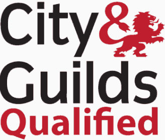City & Guilds Qualified Electrician in Romsey